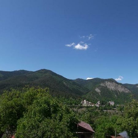 Akaki's Guesthouse Borjomi Eksteriør billede