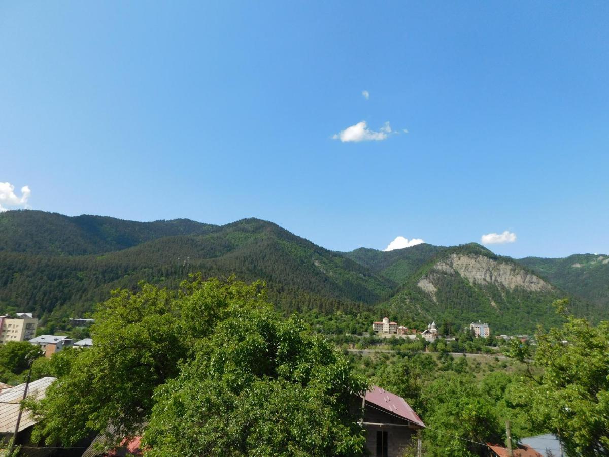 Akaki's Guesthouse Borjomi Eksteriør billede