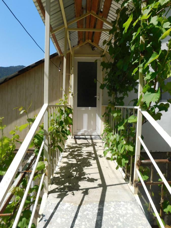 Akaki's Guesthouse Borjomi Eksteriør billede
